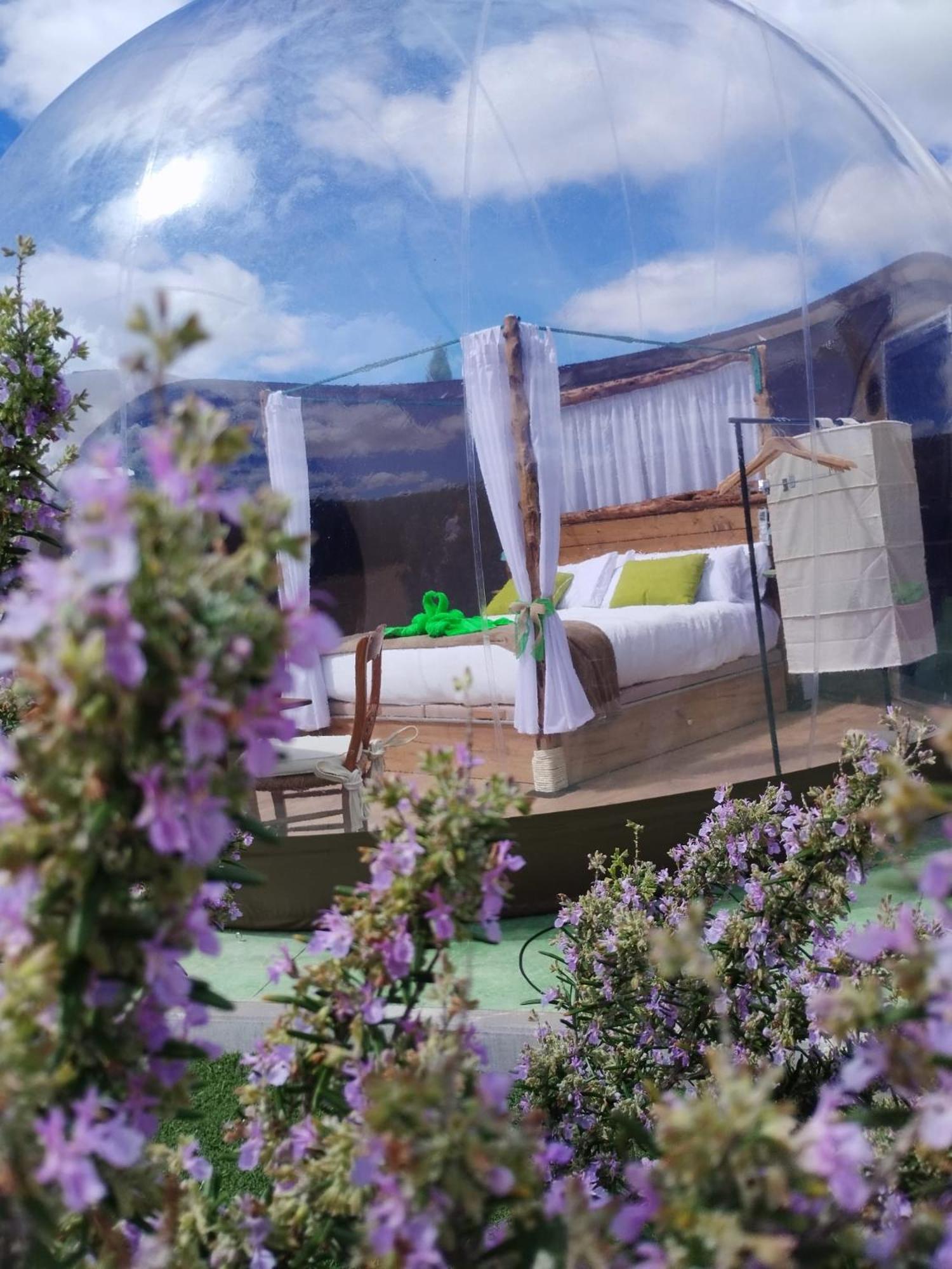 بيذراثا Cosmoveros - Hotel Burbuja المظهر الخارجي الصورة